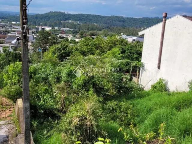 Terreno / Lote para Venda em Novo Hamburgo/RS Rincão