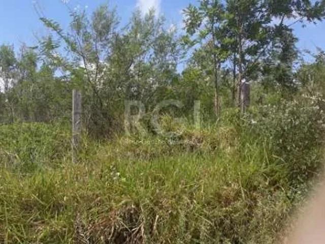 Terreno / Lote para Venda em Novo Hamburgo/RS Rincão