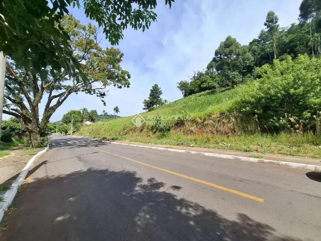 Terreno / Lote para Venda em Novo Hamburgo/RS Vila Diehl