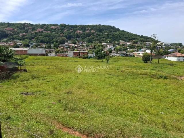 Terreno / Lote para Venda em Novo Hamburgo/RS Vila Diehl