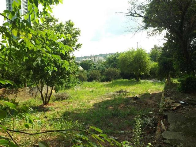 Terreno / Lote para Venda em Novo Hamburgo/RS Vila Rosa