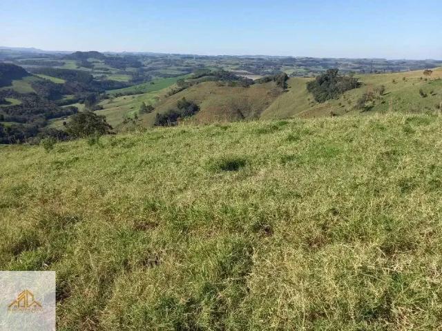 Terreno / Lote para Venda em Novo Horizonte/SC Centro