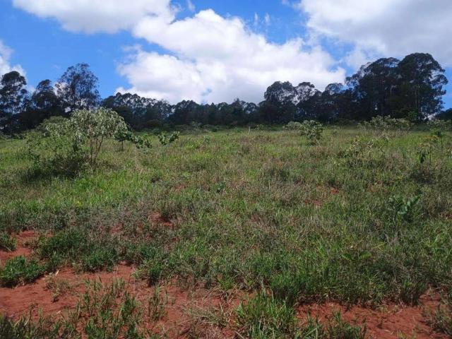 Terreno / Lote para Venda em Oliveira/MG Rosário 1 Quartos