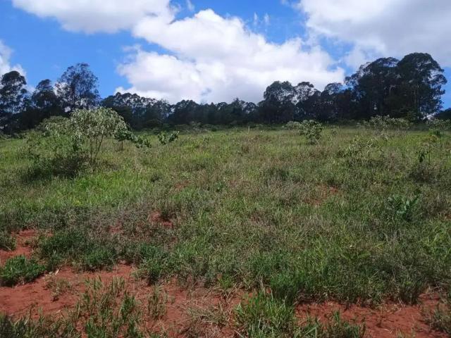 Terreno / Lote para Venda em Oliveira/MG Rosário 1 Quartos