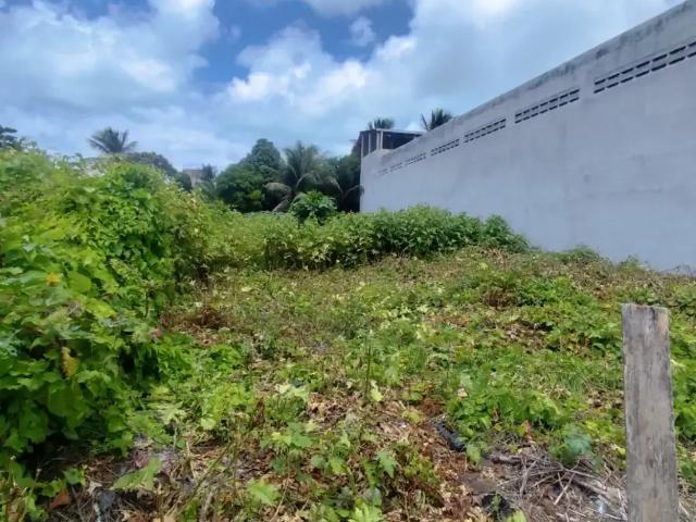 Terreno / Lote para Venda em Olinda/PE Fragoso