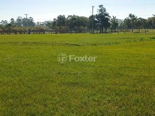 Terreno / Lote para Venda em Osório/RS Palmital