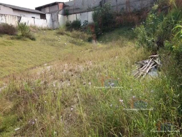 Terreno / Lote para Venda em Osasco/SP Vila Osasco