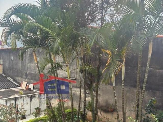 Terreno / Lote para Venda em Osasco/SP Bela Vista