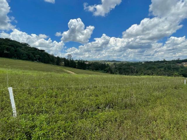Terreno / Lote para Venda em Osasco/SP Centro