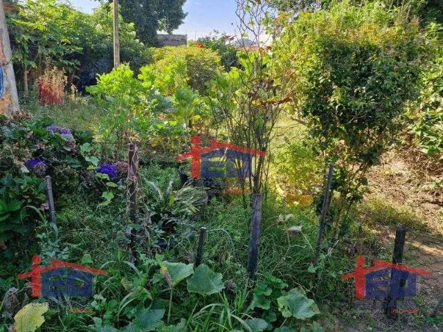 Terreno / Lote para Venda em Osasco/SP Jaguaribe