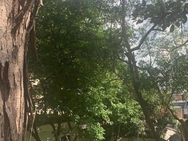 Terreno / Lote para Venda em Osasco/SP Jaguaribe