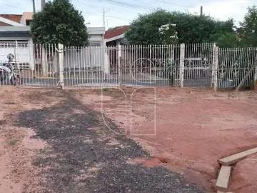 Terreno / Lote para Venda em Oriente/SP Santa Terezinha