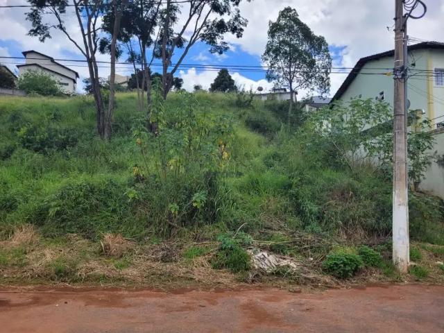 Terreno / Lote para Venda em Ouro Branco/MG Minas Talco