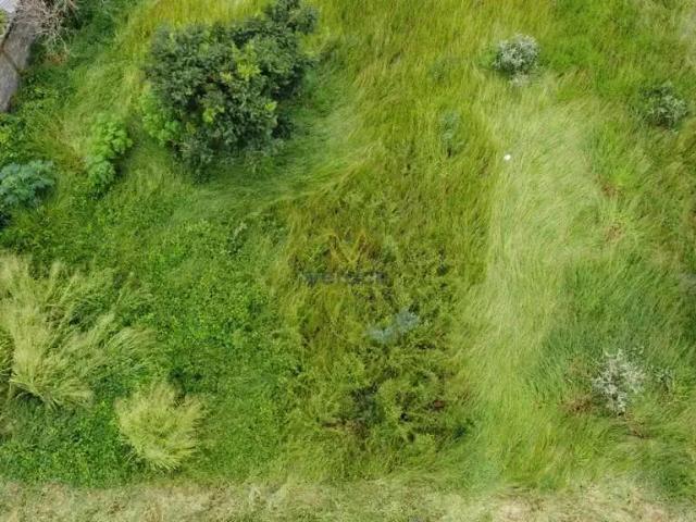 Terreno / Lote para Venda em Ouro Branco/MG Cidade Jardim