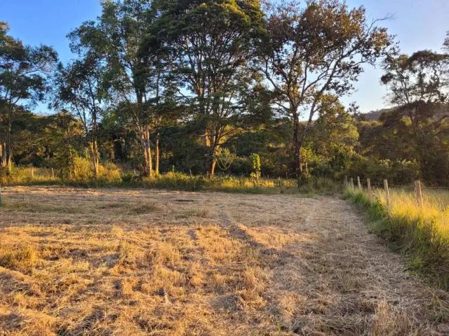 Terreno / Lote para Venda em Ouro Branco/MG Jardim Belo Vale