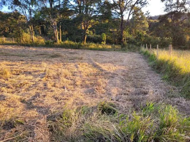 Terreno / Lote para Venda em Ouro Branco/MG Jardim Belo Vale