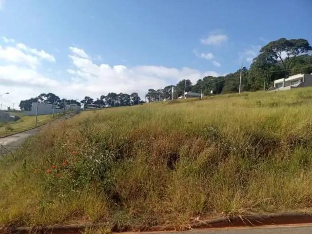 Terreno / Lote para Venda em Ouro Branco/MG Jardim Monte Belo