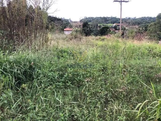 Terreno / Lote para Venda em Ouro Branco/MG João Gote