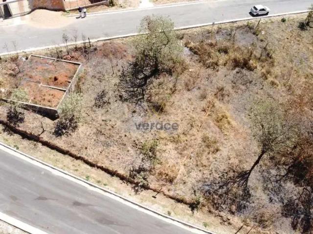 Terreno / Lote para Venda em Ouro Branco/MG Vale Do Engenho