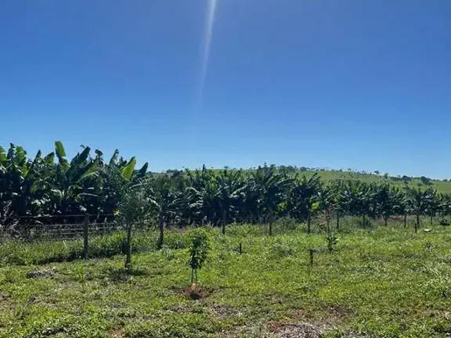 Terreno / Lote para Venda em Ouro Verde de Goiás/GO Centro
