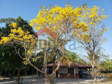 Paço Do Lumiar, Maranhão