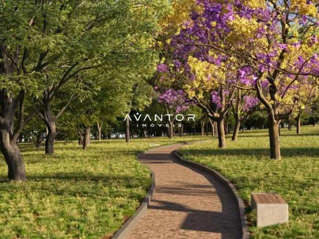 Terreno / Lote para Venda em Panambi/RS Centro