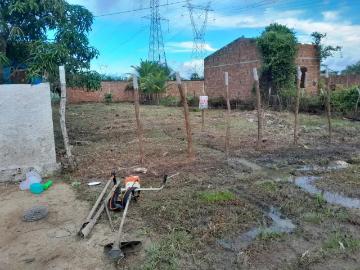 Terreno / Lote para Venda em Pacatuba/CE Pavuna