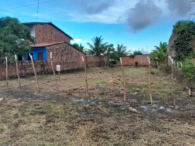 Terreno / Lote para Venda em Pacatuba/CE Pavuna