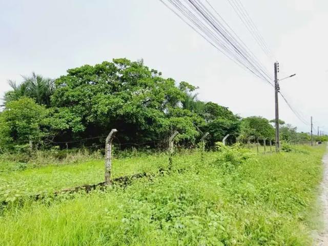 Terreno / Lote para Venda em Pacatuba/CE Pavuna