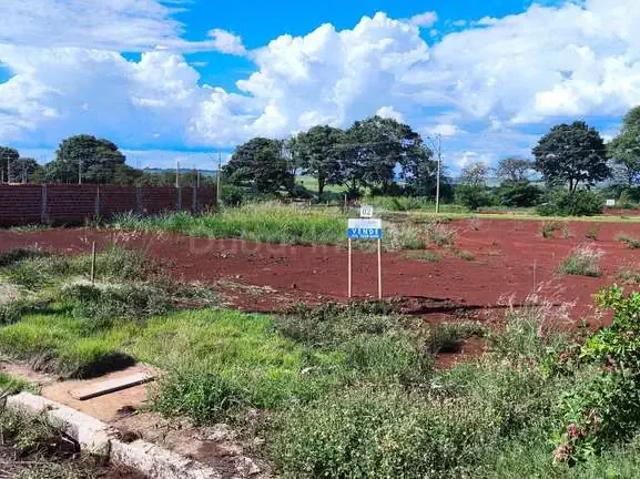 Terreno / Lote para Venda em Paiçandu/PR Gleba Patrimônio