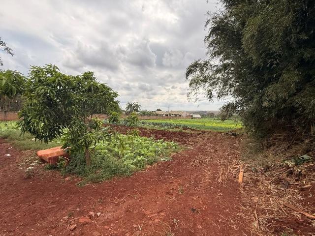 Terreno / Lote para Venda em Paiçandu/PR Jardim Canadá