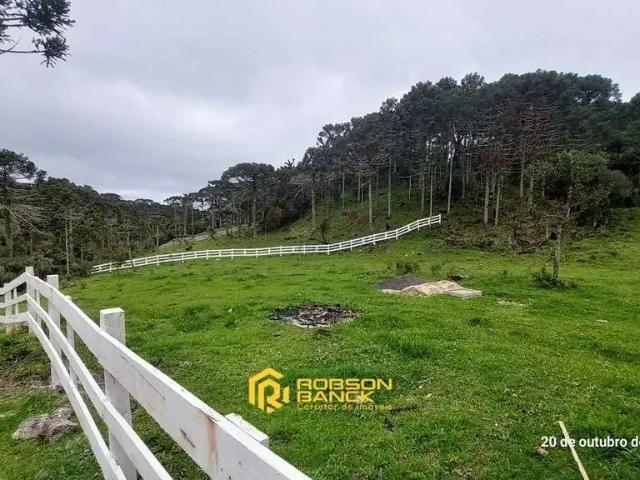 Terreno / Lote para Venda em Painel/SC Zona Rural