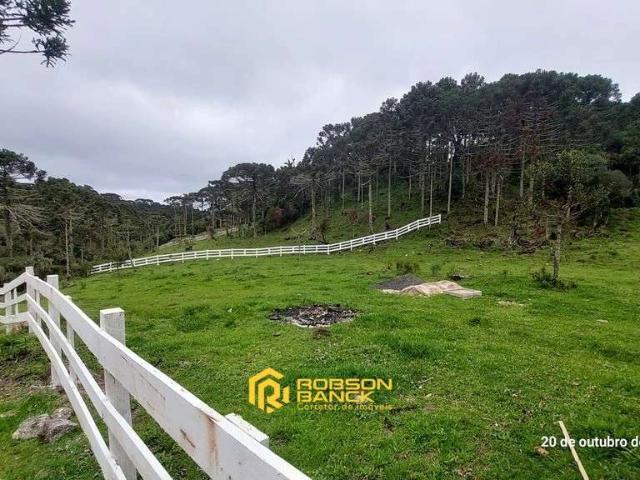 Terreno / Lote para Venda em Painel/SC Zona Rural