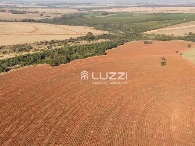 Terreno / Lote para Venda em Palestina/SP Zona Rural