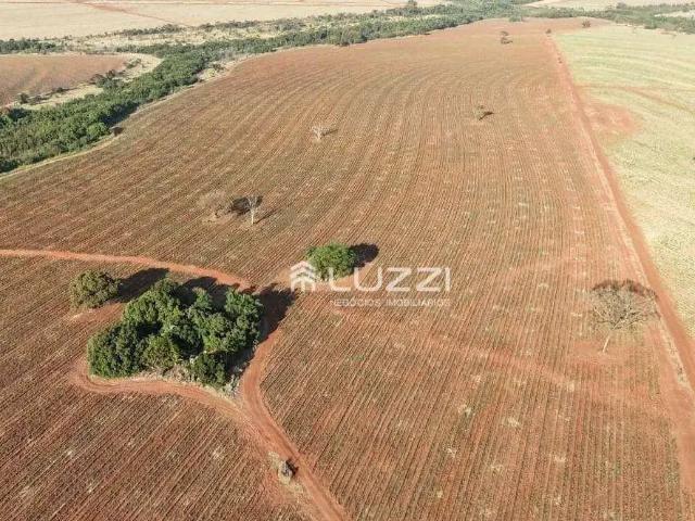 Terreno / Lote para Venda em Palestina/SP Zona Rural