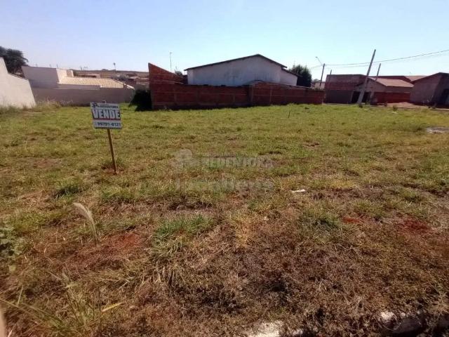 Terreno / Lote para Venda em Palestina/SP Centro