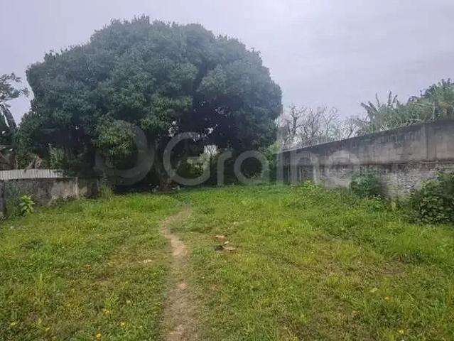 Terreno / Lote para Venda em Palhoça/SC Centro