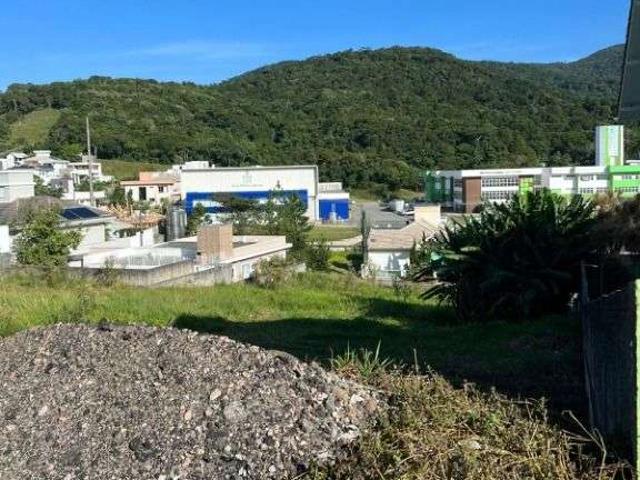 Terreno / Lote para Venda em Palhoça/SC Cidade Universitária Pedra Branca