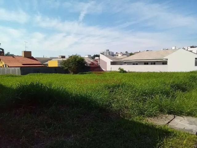 Terreno / Lote para Venda em Palhoça/SC Cidade Universitária Pedra Branca