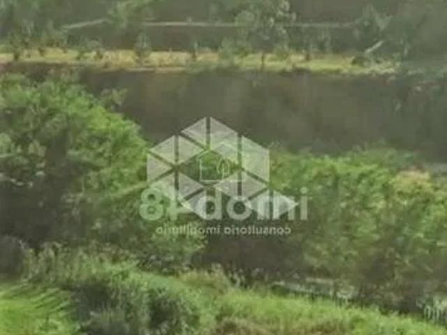 Terreno / Lote para Venda em Palhoça/SC Cidade Universitária Pedra Branca