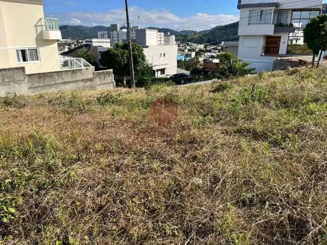 Terreno / Lote para Venda em Palhoça/SC Cidade Universitária Pedra Branca