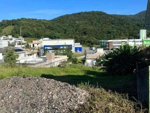 Terreno / Lote para Venda em Palhoça/SC Cidade Universitária Pedra Branca