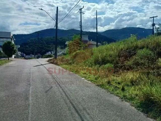 Terreno / Lote para Venda em Palhoça/SC Cidade Universitária Pedra Branca