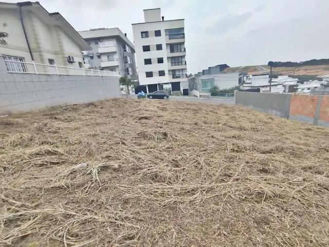 Terreno / Lote para Venda em Palhoça/SC Cidade Universitária Pedra Branca