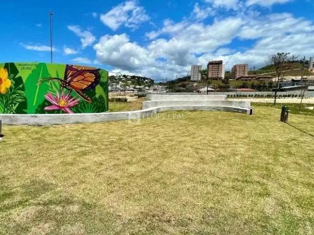 Terreno / Lote para Venda em Palhoça/SC Cidade Universitária Pedra Branca