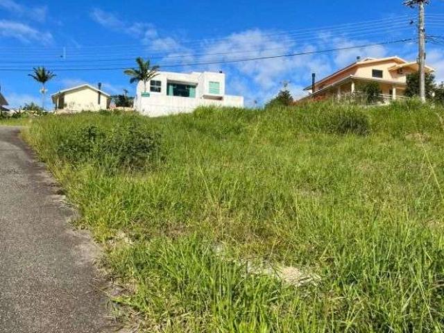 Terreno / Lote para Venda em Palhoça/SC Cidade Universitária Pedra Branca