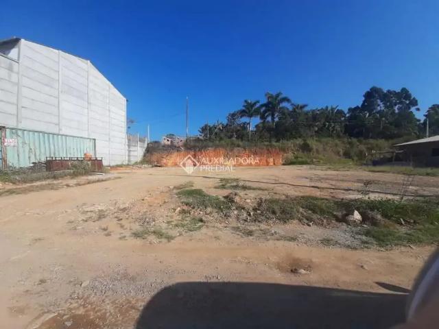 Terreno / Lote para Venda em Palhoça/SC Alto Aririu