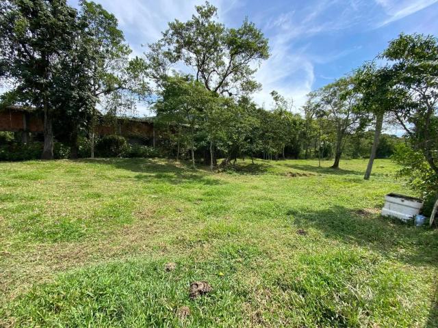 Terreno / Lote para Venda em Palhoça/SC Alto Aririu
