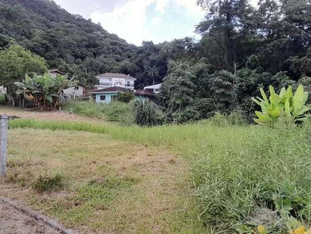 Terreno / Lote para Venda em Palhoça/SC Alto Aririu