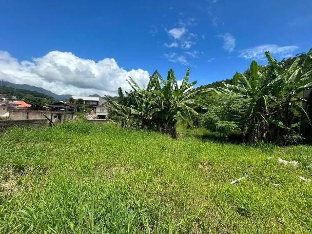 Terreno / Lote para Venda em Palhoça/SC Alto Aririu